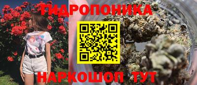 СК Гусев