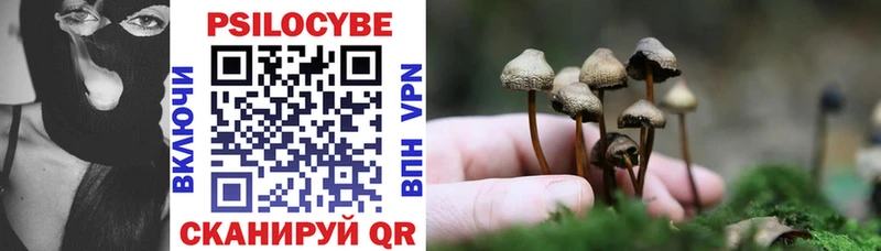 Псилоцибиновые грибы MAGIC MUSHROOMS  Карталы 