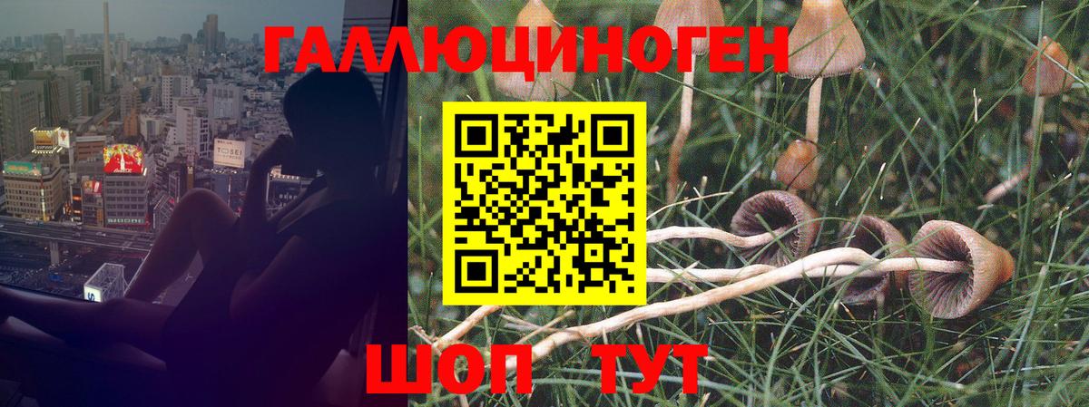 Псилоцибиновые грибы прущие грибы Карталы